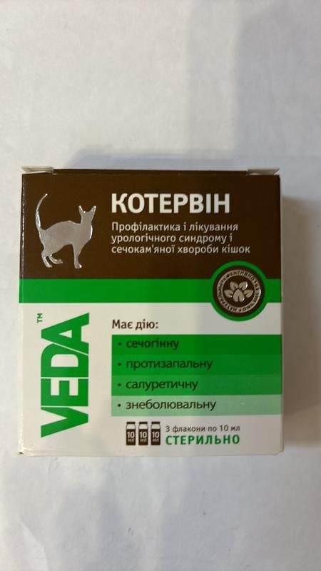 Кот Эрвин