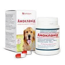 Амокланид капсулы 30 шт. по 0,25 гр  Бровафарма 