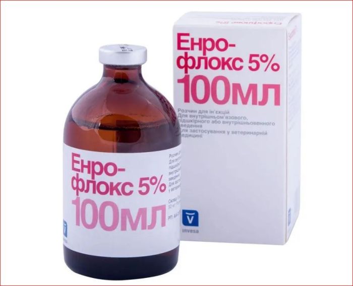Энрофлокс 5% ин.100 мл Инвеса ц