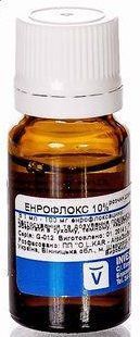 Энрофлокс орал 10% 10 мл Инвеса