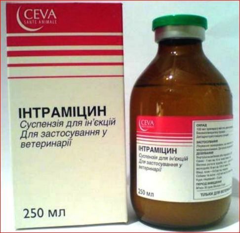 Интрамицин сусп. ин 250 мл Сева ц