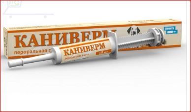 Каниверм паста 10 мл Биовета