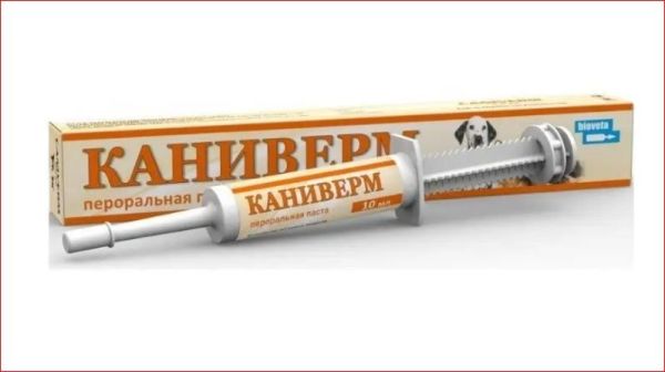 Каниверм паста 4 мл Бивета ц