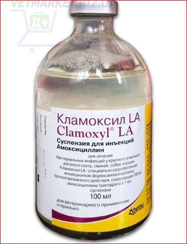 Кламоксил ЛА 100 мл