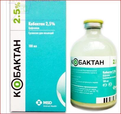 Кобактан 2,5% 100 мл Интервет
