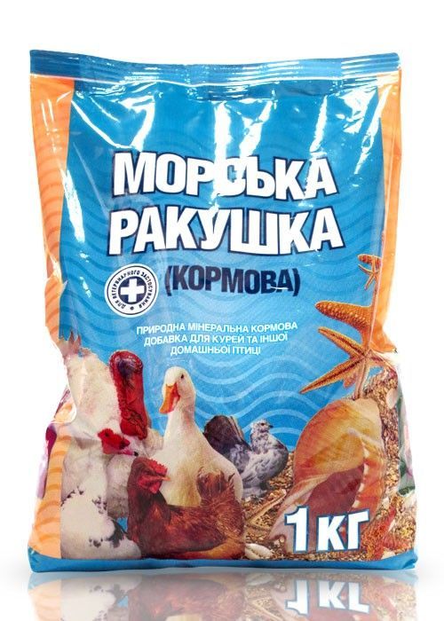 Морская ракушка 1 кг Олкар