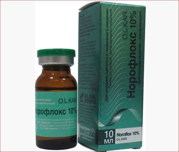 Норофлокс 10% ин. 10 мл Олкар