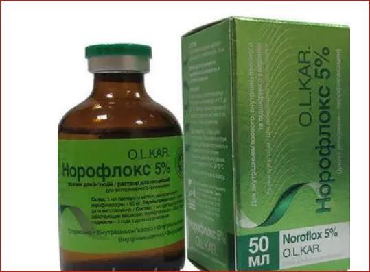 Норофлокс 5% ин. 50 мл Олкар