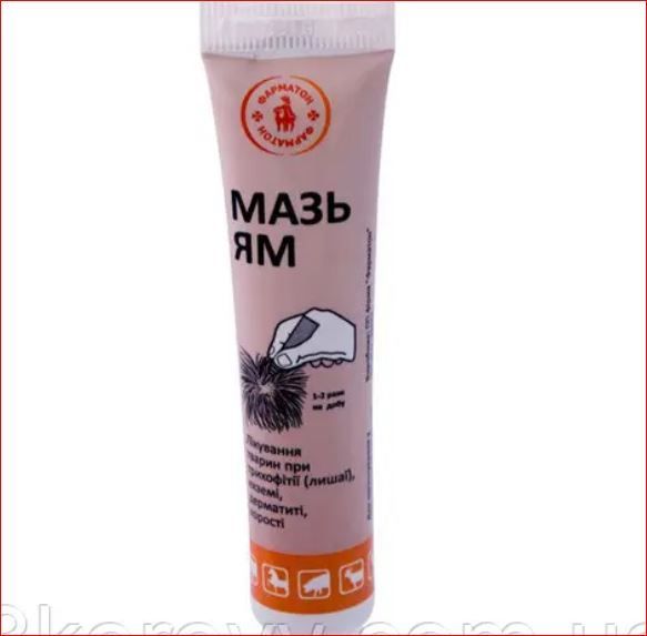 ЯМ мазь 15 г туба Фарматон